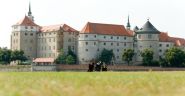 Schloss Hartenfels - Quelle  Torgau-Informations-Center.jpg