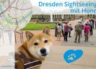 web.sehenswuerdigkeiten-dresden-mit-hund.jpg