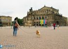 web.semperoper-hund.jpg